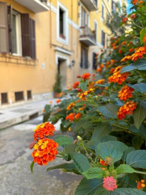 La Casetta Trastevere Roma Ngoại thất bức ảnh